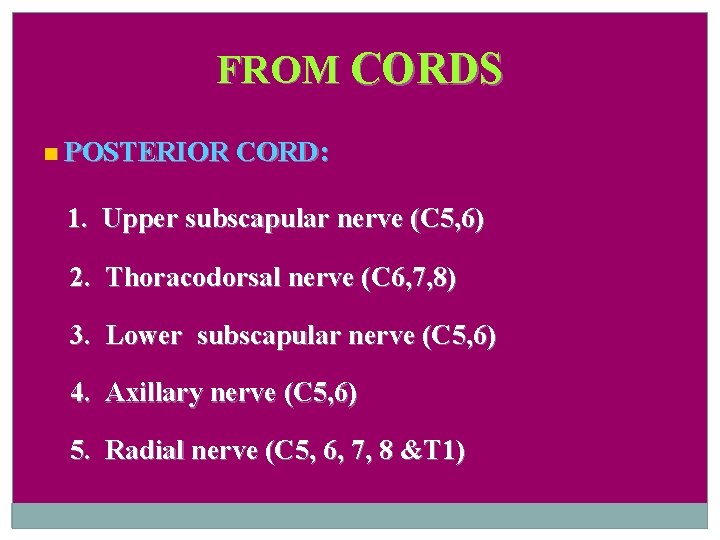 FROM CORDS POSTERIOR CORD: 1. Upper subscapular nerve (C 5, 6) 2. Thoracodorsal nerve