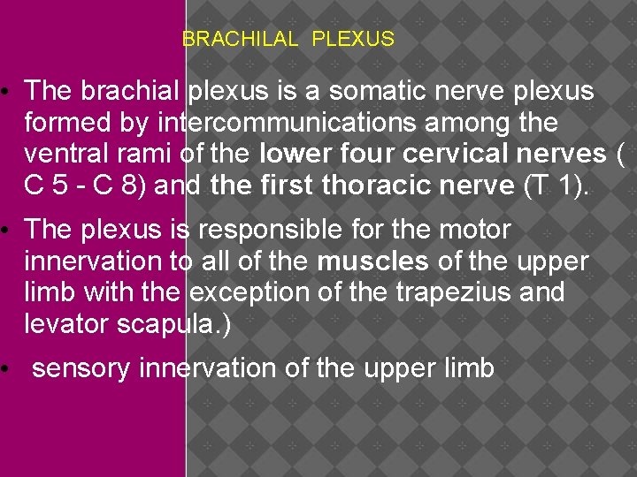 BRACHILAL PLEXUS • The brachial plexus is a somatic nerve plexus formed by intercommunications
