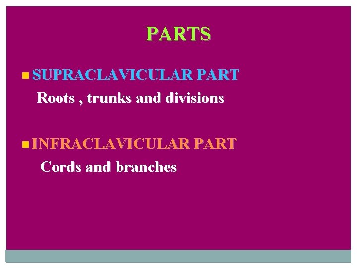PARTS SUPRACLAVICULAR PART Roots , trunks and divisions INFRACLAVICULAR PART Cords and branches 