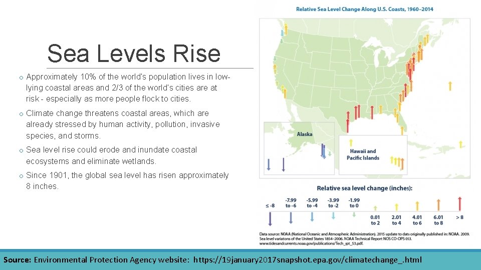 Sea Levels Rise o Approximately 10% of the world’s population lives in lowlying coastal