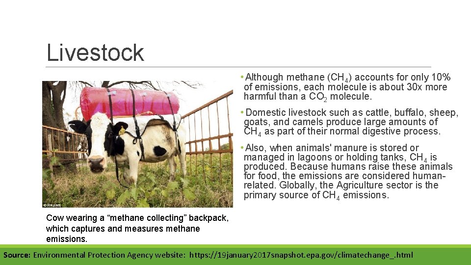 Livestock • Although methane (CH 4) accounts for only 10% of emissions, each molecule