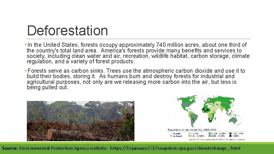 Deforestation • In the United States, forests occupy approximately 740 million acres, about one