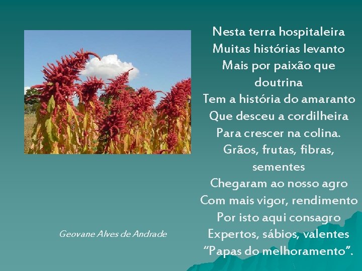 Geovane Alves de Andrade Nesta terra hospitaleira Muitas histórias levanto Mais por paixão que