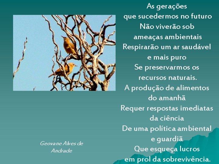 Geovane Alves de Andrade As gerações que sucedermos no futuro Não viverão sob ameaças