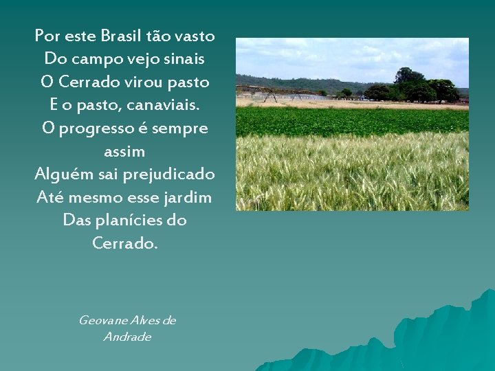 Por este Brasil tão vasto Do campo vejo sinais O Cerrado virou pasto E