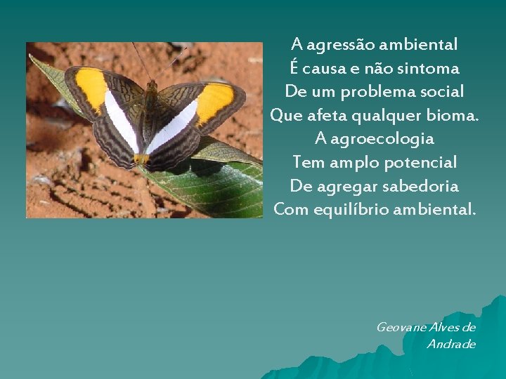 A agressão ambiental É causa e não sintoma De um problema social Que afeta