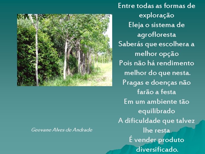 Geovane Alves de Andrade Entre todas as formas de exploração Eleja o sistema de