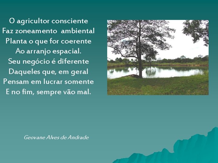 O agricultor consciente Faz zoneamento ambiental Planta o que for coerente Ao arranjo espacial.