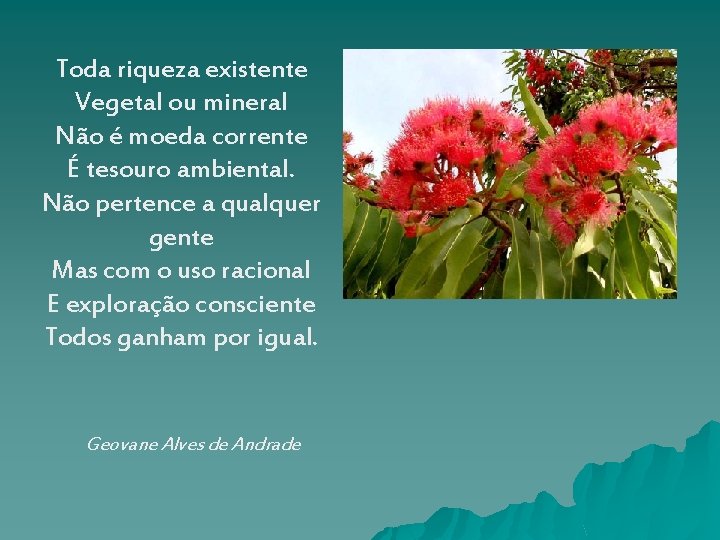 Toda riqueza existente Vegetal ou mineral Não é moeda corrente É tesouro ambiental. Não