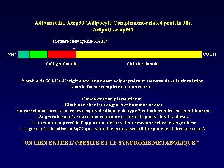 Adiponectin, Acrp 30 (Adipocyte Complement-related protein 30), Adipo. Q or ap. M 1 Protease