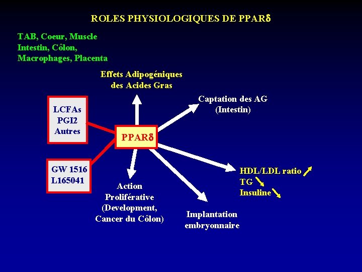 ROLES PHYSIOLOGIQUES DE PPAR TAB, Coeur, Muscle Intestin, Côlon, Macrophages, Placenta Effets Adipogéniques des