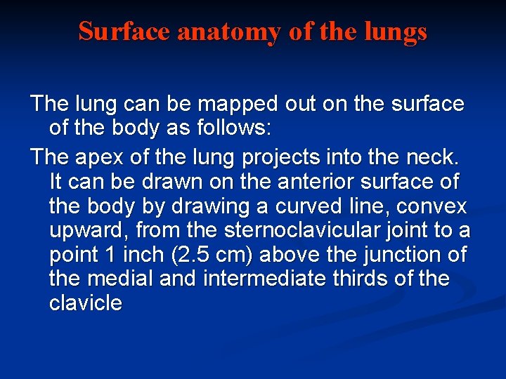 Surface anatomy of the lungs The lung can be mapped out on the surface