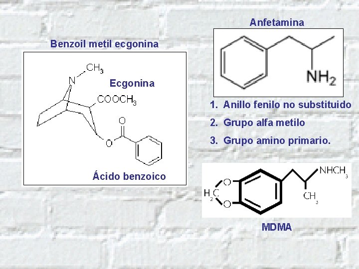 Anfetamina Benzoil metil ecgonina Ecgonina 1. Anillo fenilo no substituido 2. Grupo alfa metilo