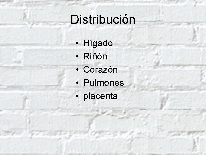 Distribución • • • Hígado Riñón Corazón Pulmones placenta 