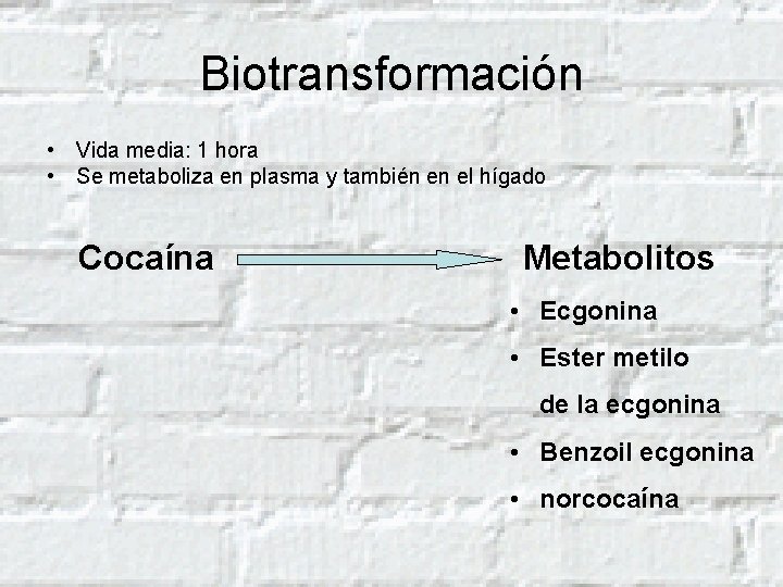 Biotransformación • Vida media: 1 hora • Se metaboliza en plasma y también en