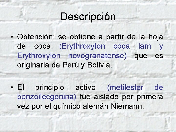 Descripción • Obtención: se obtiene a partir de la hoja de coca (Erythroxylon coca