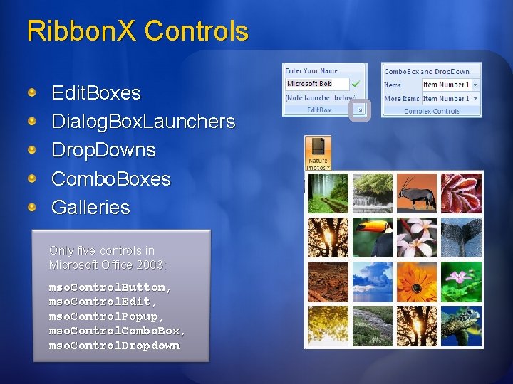 Ribbon. X Controls Edit. Boxes Dialog. Box. Launchers Drop. Downs Combo. Boxes Galleries Only Ribbon. X Controls Edit. Boxes Dialog. Box. Launchers Drop. Downs Combo. Boxes Galleries Only