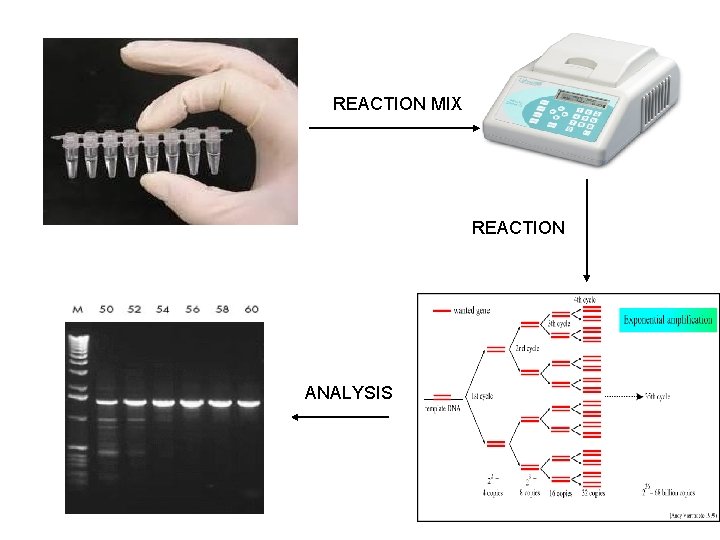REACTION MIX REACTION ANALYSIS 
