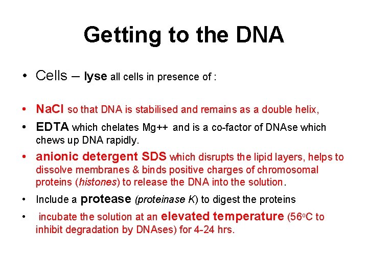 Getting to the DNA • Cells – lyse all cells in presence of :
