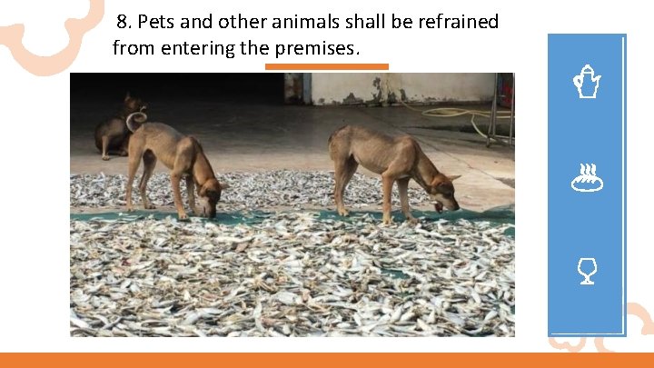 8. Pets and other animals shall be refrained from entering the premises. 