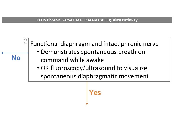 CCHS Phrenic Nerve Pacer Placement Eligibility Pathway 2 Functional diaphragm and intact phrenic nerve