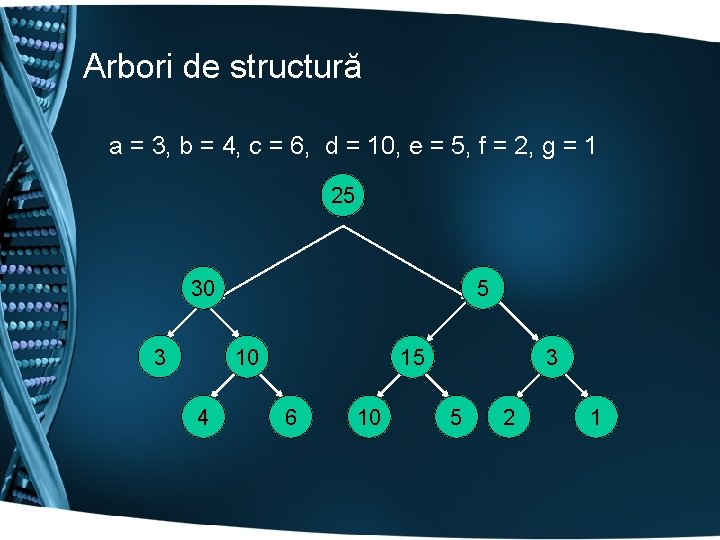 Arbori de structură a = 3, b = 4, c = 6, d =