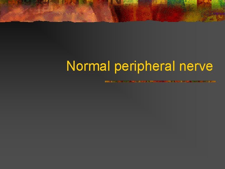 Normal peripheral nerve  Normal peripheral nerve