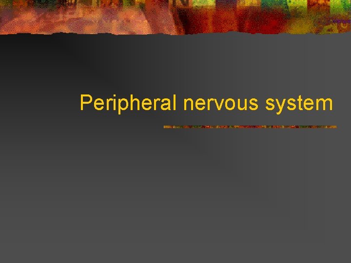 Peripheral nervous system  Peripheral nervous system