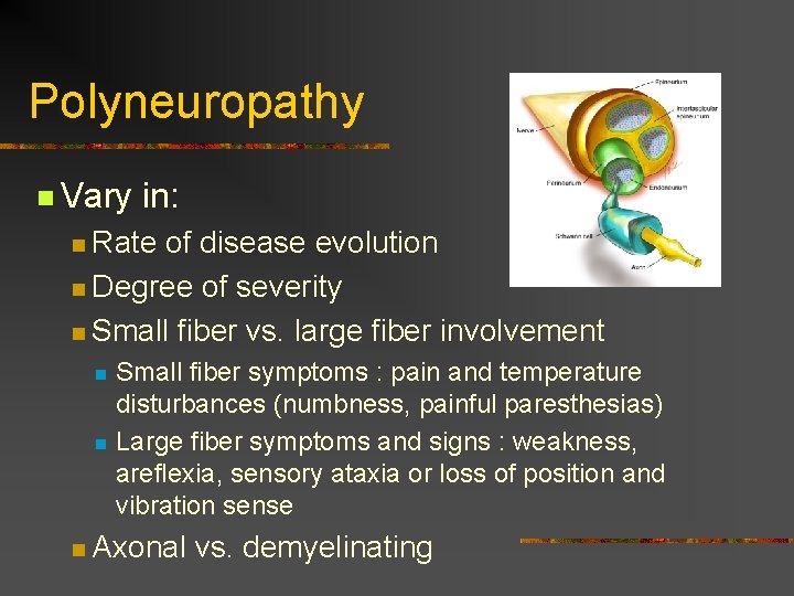 Polyneuropathy n Vary in: n Rate of disease evolution n Degree of severity n Polyneuropathy n Vary in: n Rate of disease evolution n Degree of severity n