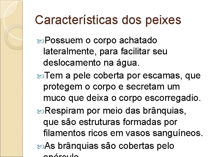 Características dos peixes Possuem o corpo achatado lateralmente, para facilitar seu deslocamento na água.