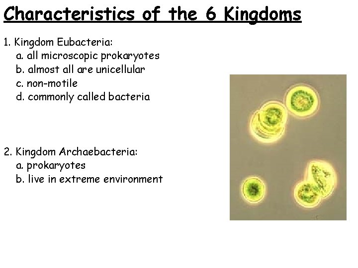 Characteristics of the 6 Kingdoms 1. Kingdom Eubacteria: a. all microscopic prokaryotes b. almost