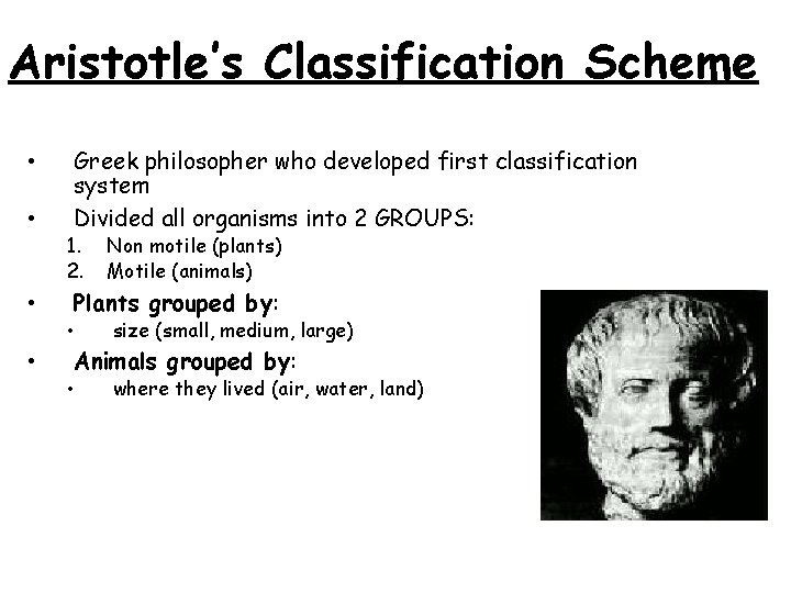 Aristotle’s Classification Scheme • • • Greek philosopher who developed first classification system Divided
