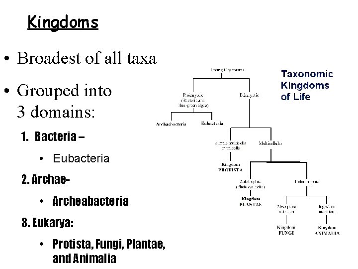 Kingdoms • Broadest of all taxa • Grouped into 3 domains: 1. Bacteria –