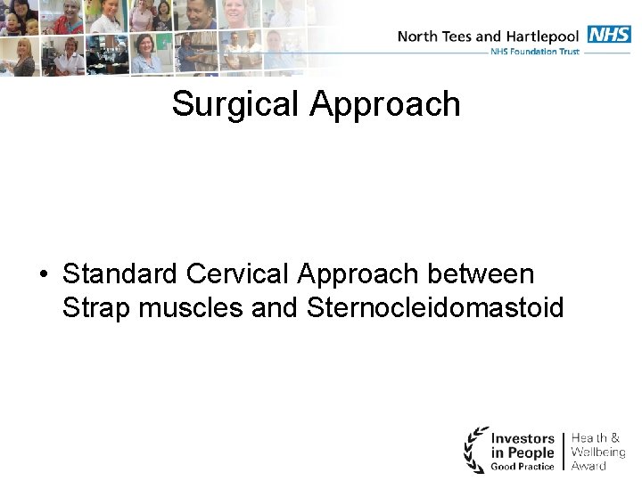 Surgical Approach • Standard Cervical Approach between Strap muscles and Sternocleidomastoid 