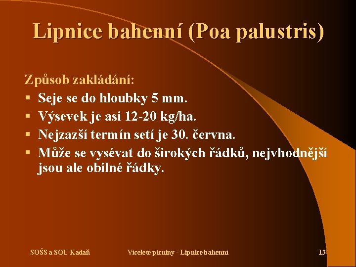 Lipnice bahenní (Poa palustris) Způsob zakládání: § Seje se do hloubky 5 mm. §