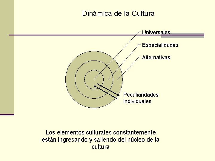 Dinámica de la Cultura Universales Especialidades Alternativas Peculiaridades individuales Los elementos culturales constantemente están