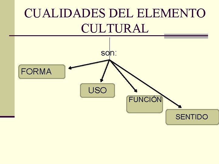 CUALIDADES DEL ELEMENTO CULTURAL son: FORMA USO FUNCIÓN SENTIDO 