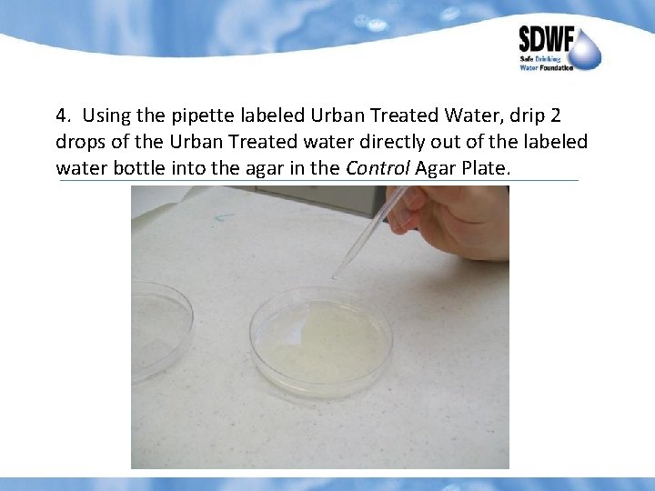 4. Using the pipette labeled Urban Treated Water, drip 2 drops of the Urban