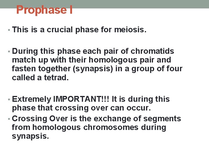 Prophase I • This is a crucial phase for meiosis. • During this phase