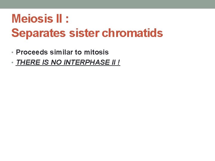 Meiosis II : Separates sister chromatids • Proceeds similar to mitosis • THERE IS