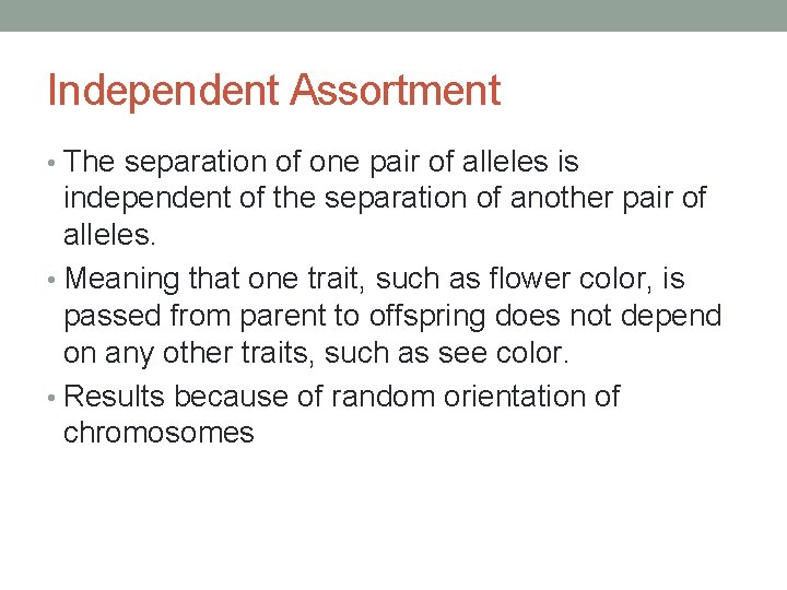 Independent Assortment • The separation of one pair of alleles is independent of the