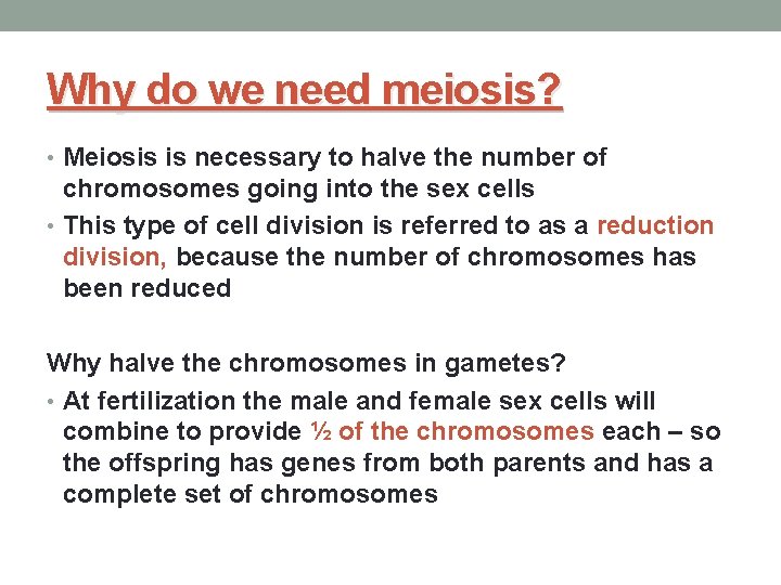 Why do we need meiosis? • Meiosis is necessary to halve the number of