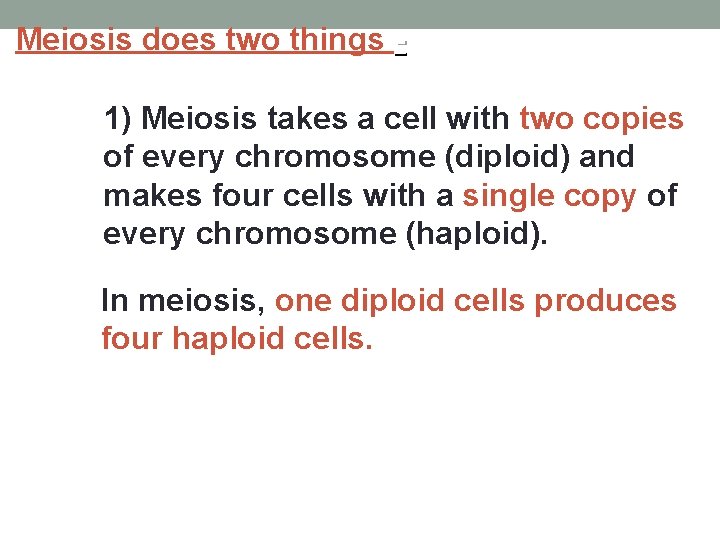 Meiosis does two things 1) Meiosis takes a cell with two copies of every