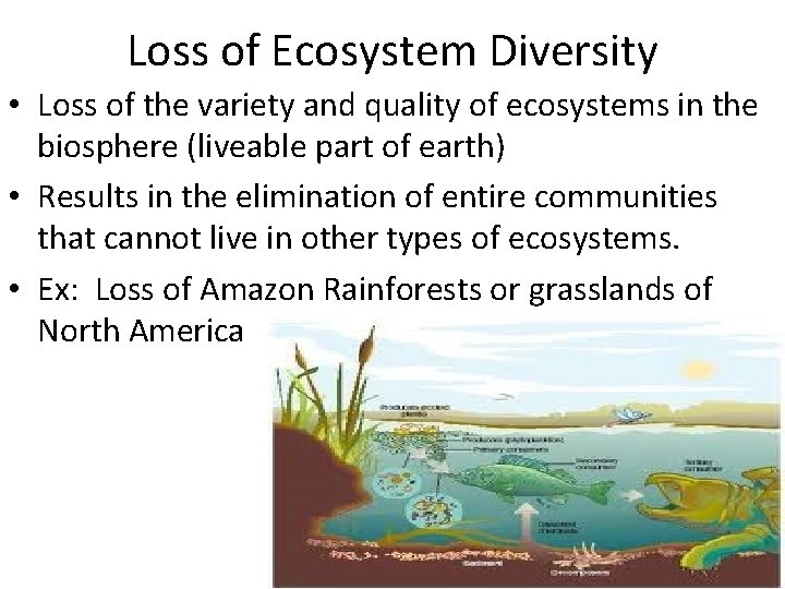 Loss of Ecosystem Diversity • Loss of the variety and quality of ecosystems in