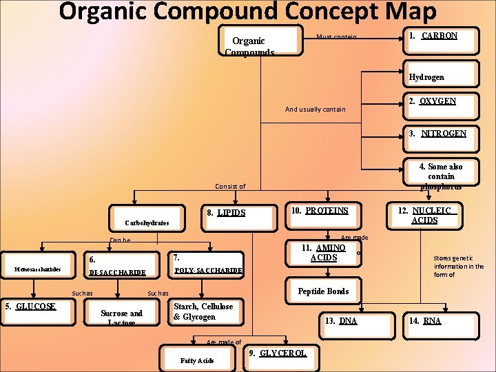 Organic Compound Concept Map 1. CARBON Must contain Organic Compounds Hydrogen 2. OXYGEN And