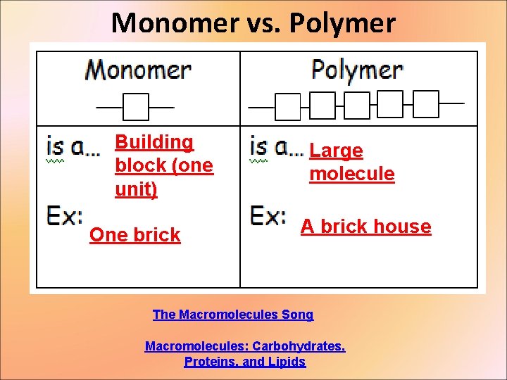 Monomer vs. Polymer Building block (one unit) One brick Large molecule A brick house