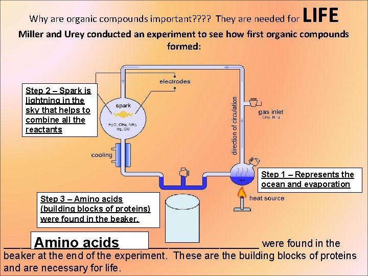 Why are organic compounds important? ? They are needed for LIFE Miller and Urey