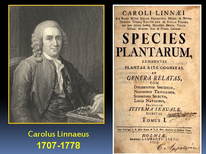 Carolus Linnaeus 1707 -1778 