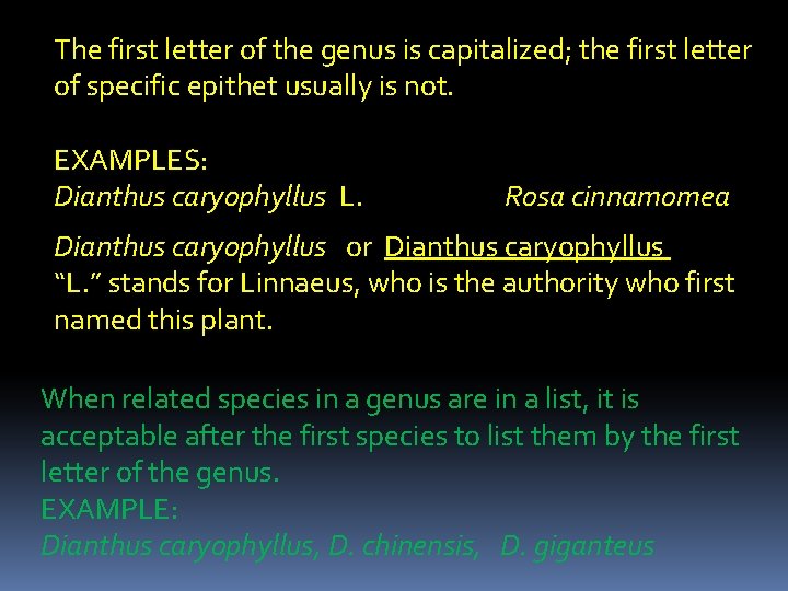 The first letter of the genus is capitalized; the first letter of specific epithet