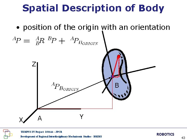 Spatial Description of Body • position of the origin with an orientation Z B